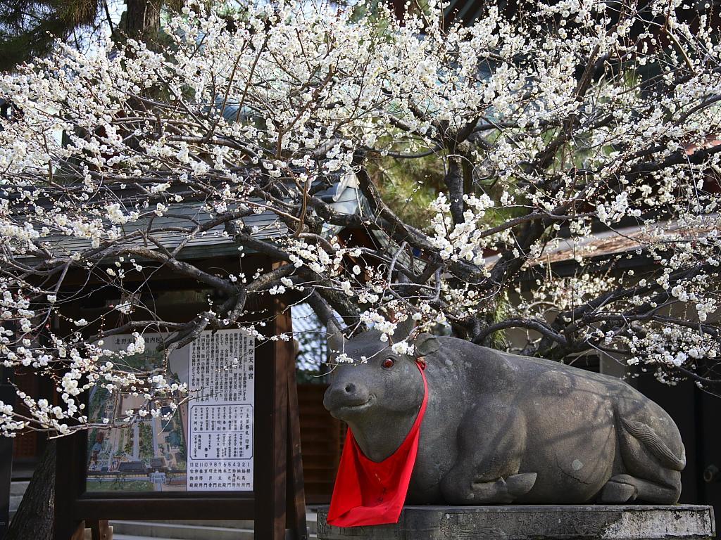 Guesthouse Iloha 교토 외부 사진